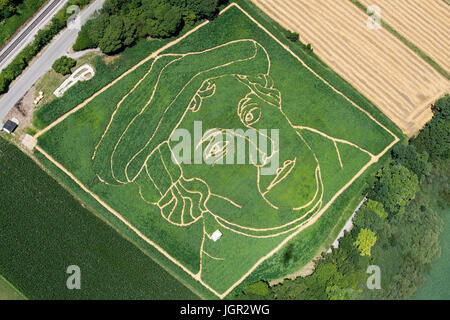 Dpatop - Une vue aérienne montre un champ agricole où les agriculteurs Corinne et Uli Ernst a travaillé sur le portrait du moine et prêtre Martin Luther avec leurs 20-man-équipe solide afin de célébrer le 500e anniversaire de la réforme à Utting am Ammersee, Allemagne, 9 juillet 2017. L'image plus grande que la vie se compose d'une multitude de plantes, tournesol, maïs, colza, fleurs sauvages qui ont été plantés au début de l'année. Photo : Peter Kneffel/dpa Banque D'Images