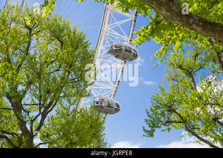 Le London Eye à Southbank, Londres sur une bonne journée de printemps. Banque D'Images