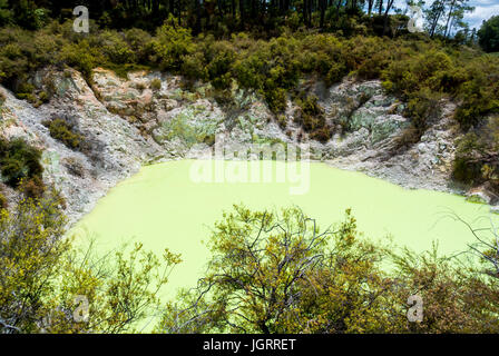 Waiotapu Thermal Wonderland, Rotorua, Nouvelle-Zélande Banque D'Images