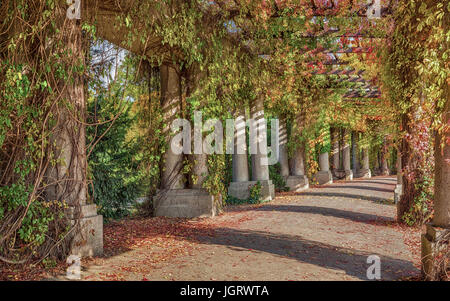 Pergola arche en béton - passage dans le jardin, entouré de plantes grimpantes. Wroclaw Pologne en automne. Belle allée en tunnel park. Banque D'Images