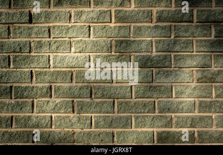 Arrière-plan de mur de briques couleur vert foncé. Les murs en brique lisse. Banque D'Images