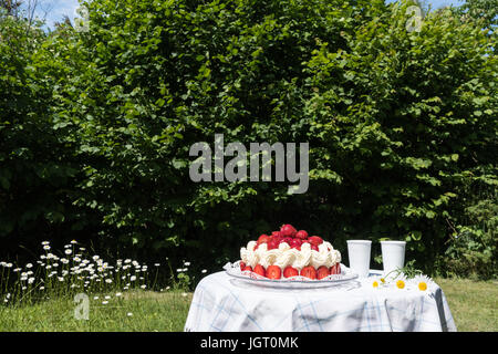 Gâteau aux fraises sur une table avec deux tasses de café et de fleurs dans un jardin Banque D'Images