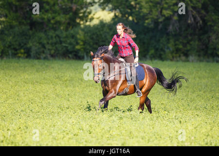 Jeune femme sur cheval au galop sans bride. Free riding equestrian background Banque D'Images