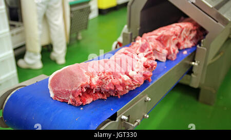 Coupes de viande crue sur une courroie de convoyeur industriel. Le traitement de la viande dans l'industrie alimentaire. Banque D'Images