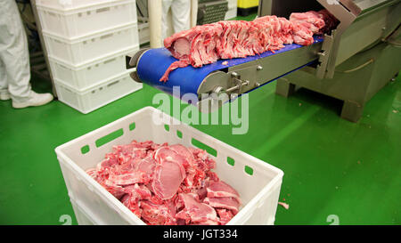 Coupes de viande crue sur une courroie de convoyeur industriel. Côtelettes de porc crus frais Viande en usine. Le traitement de la viande dans l'industrie alimentaire. Banque D'Images