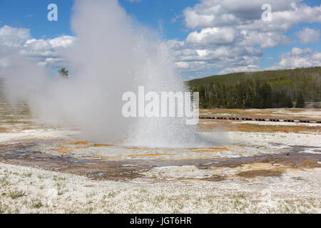 Jewel Geyser en biscuit Basin, Upper Geyser Basin, Parc National de Yellowstone Banque D'Images