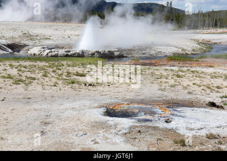 Cliff Geyser dans le bassin de sable noir, Upper Geyser Basin, Parc National de Yellowstone Banque D'Images