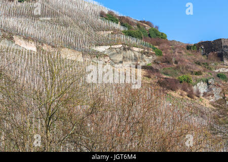 Zeltinger cadran solaire dans la ville viticole de la Moselle à Zeltingen l'Allemagne a mentionné un vignoble allemand. Banque D'Images