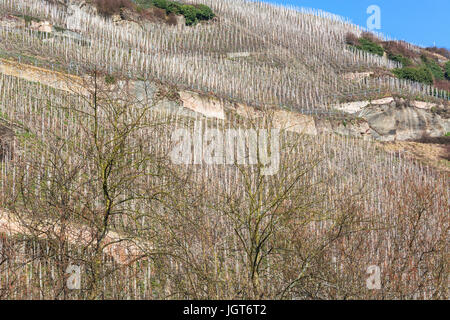 Zeltinger cadran solaire dans la ville viticole de la Moselle à Zeltingen l'Allemagne a mentionné un vignoble allemand. Banque D'Images