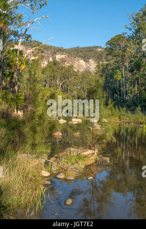 1er passage, Carnarvon Gorge, Queensland, Australie Banque D'Images