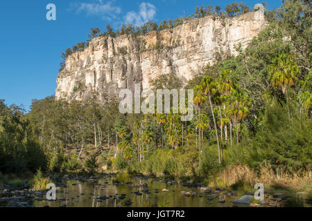 Rock Creek et Falaise, Carnarvon Gorge, Queensland, Australie Banque D'Images