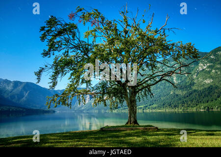 Sur le lac de Bohinj nuit de pleine lune. Banque D'Images