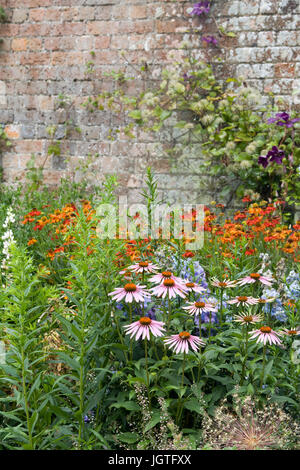 Frontière herbacées classiques fleurs du jardin Banque D'Images