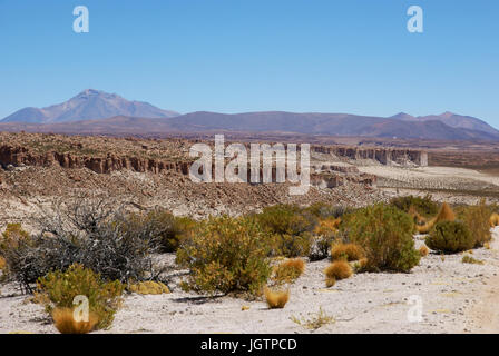 Désert du Lipez, Département de Potosí, Province Sud Lipez, La Paz, Bolívia Banque D'Images