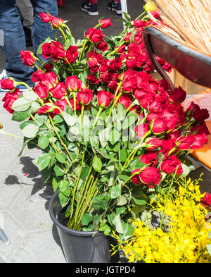 Un bouquet de roses rouges sur Sant Jordi 24, Barcelone, Espagne. Banque D'Images