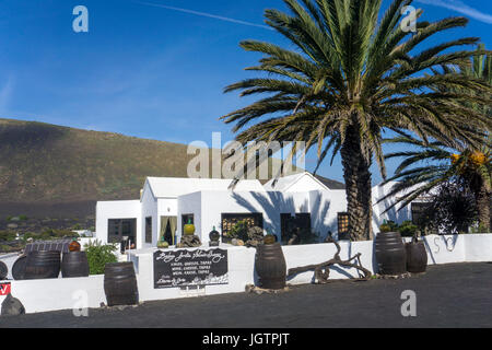 Bodega Antonio Suarez, vignoble de La Geria, Lanzarote, îles Canaries, Espagne, Europe Banque D'Images