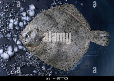 Flet poisson entier frais crus sur de la glace concassée sur arrière-plan foncé métal humide. Vue de dessus avec l'espace Banque D'Images