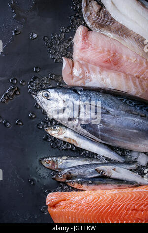 Variété de matières de poisson frais. Le thon et le hareng entier, filet de saumon, morue, poisson rouge sur de la glace concassée sur arrière-plan foncé métal humide. Vue de dessus avec l'espace. Banque D'Images