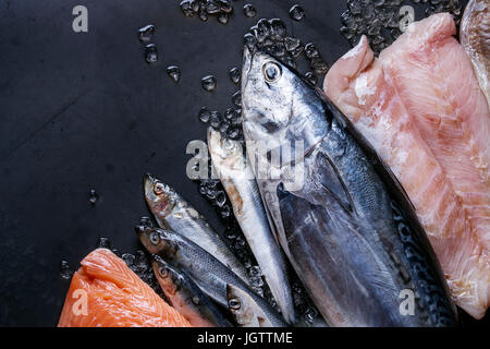 Variété de matières de poisson frais. Le thon et le hareng entier, filet de saumon, morue, poisson rouge sur de la glace concassée sur arrière-plan foncé métal humide. Vue de dessus avec l'espace. Banque D'Images