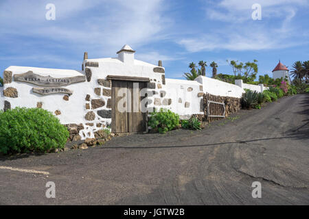 Musée de l'Agriculture, Museo Agrícola El Patio, Tiagua, Teguise, Lanzarote, îles Canaries, Espagne, Europe Banque D'Images