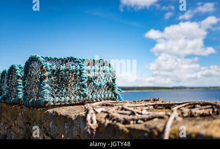 Les cages en filet de pêche du homard dans un mur du port Banque D'Images