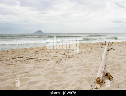 Plage, tronc, Barra do Una, Peruíbe, São Paulo, Brésil Banque D'Images