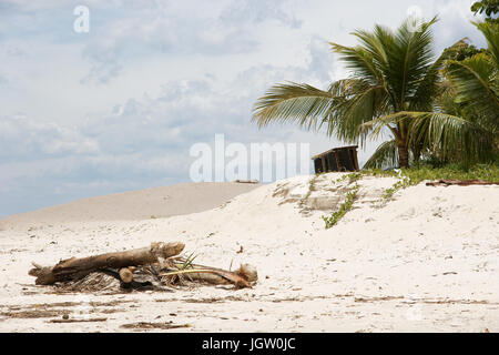 Dune, Barra do Una, Peruíbe, São Paulo, Brésil Banque D'Images