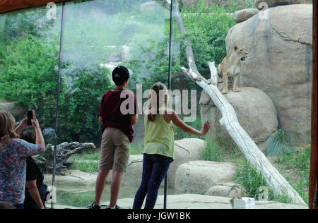 Zoo de Colorado Springs, États-Unis Banque D'Images