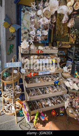 Port de plaisance à la boutique vend des animaux de la mer Morte et les coquillages comme souvenirs, Puerto Calero, Lanzarote, îles Canaries, Espagne, Europe Banque D'Images