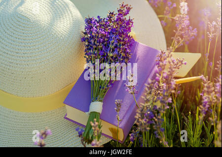 Chapeau de paille dans les champs de lavande en Provence près de Valensole. France Banque D'Images