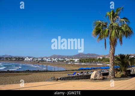 Playa Matagorda, grosser 71, à Puerto del Carmen, Lanzarote, Kanarische Inseln, Europa | Playa Matagorda, grande plage de Puerto del Carmen, La Banque D'Images