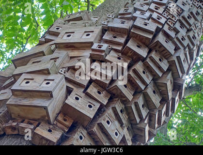 'Arbre du ciel" par l'installation de nichoirs Ville spontanée à Islington, Londres Banque D'Images