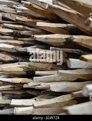 piquets en bois Banque D'Images