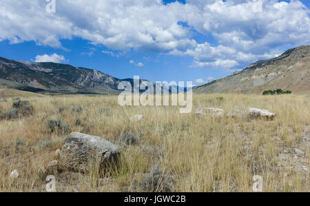 Boîtier robuste et aride des prairies et paysage vallonné du parc d'état de Buffalo Bill montrant les montagnes rocheuses en été près de Cody, Wyoming, USA. Banque D'Images