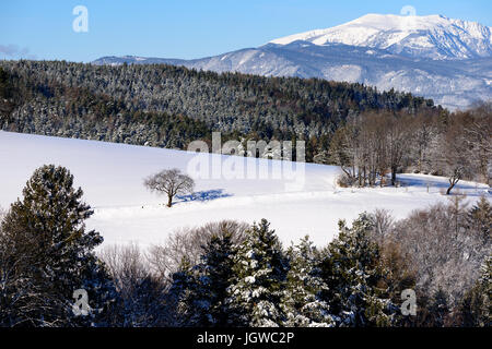 Couleur d'hiver lumineux scène d'un champ de neige avec des arbres,forêt et d'une vue sur la montagne appelée Schneeberg, Autriche, lors d'une journée ensoleillée Banque D'Images