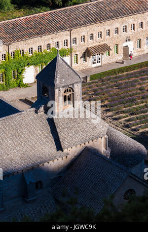 Abbaye de Sénanque, Gordes, Vaucluse, France 84 Banque D'Images