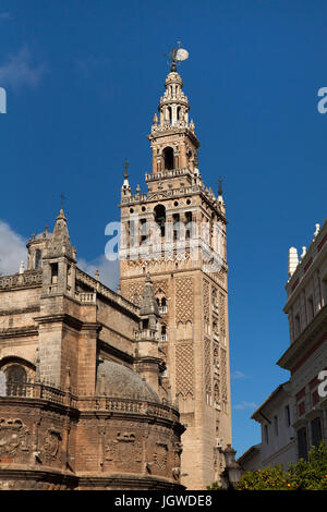 La Tour Giralda de la Cathédrale de Séville (Catedral de Sevilla) à Séville, Andalousie, espagne. Banque D'Images