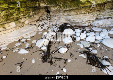 Grotte dans les falaises de craie à Selwicks bay, North Yorkshire, Angleterre. Banque D'Images