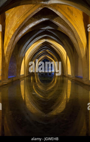 Réservoirs d'eau de pluie en date du 13e siècle et connu sous le nom de Los Baños de Doña María de Padilla (Thermes de Dame Marie de Padilla) dans l'Alcázar de Séville à Séville, Andalousie, espagne. Banque D'Images