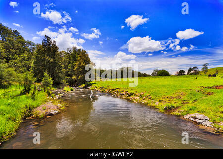 Les eaux rapides de la rivière de montagne vert Cobark entre champs herbeux et medows de Barrington Tops des terres agricoles sur une journée ensoleillée. Banque D'Images