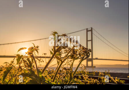 Humber Bridge Coucher du Soleil Banque D'Images
