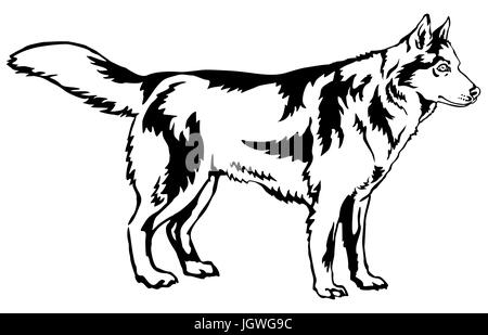 Portrait de décoration de l'article profil de chien husky de Sibérie, vector illustration en couleur noir isolé sur fond blanc Illustration de Vecteur