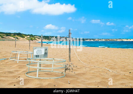 Cage de protection nid sur la plage de Lara sur la péninsule d'Akamas, Chypre Banque D'Images