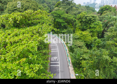 Vue de dessus de la route en courbe avec des arbres dans un parc public. Banque D'Images