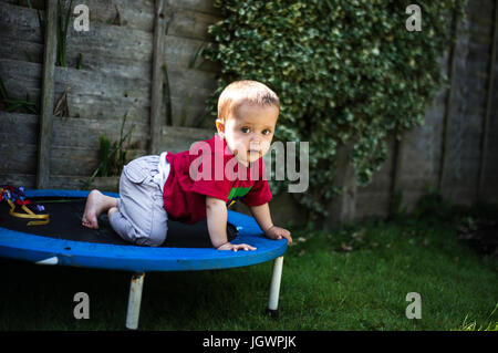 Baby Boy crawling sur trampoline Banque D'Images