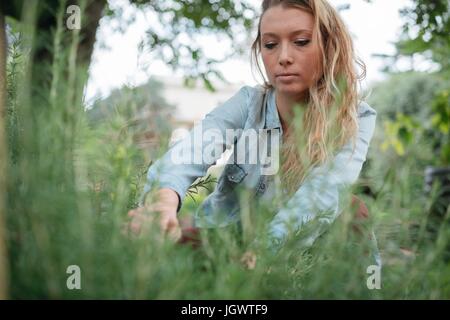 Jeune femme ayant tendance à les plantes de jardin Banque D'Images