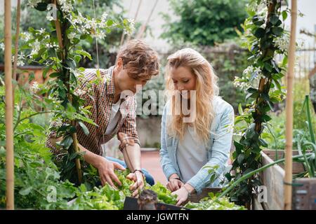 Jeune homme et femme ayant tendance aux plantes en auges de bois Banque D'Images