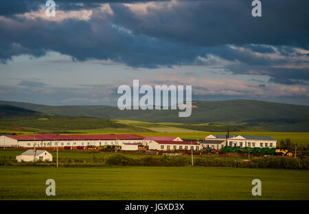 Hulun Buir. 11 juillet, 2017. Photo aérienne prise le 11 juillet 2017 montre le beau paysage de Hulun Buir prairie dans le nord de la Chine, région autonome de Mongolie intérieure. Credit : Lian Zhen/Xinhua/Alamy Live News Banque D'Images