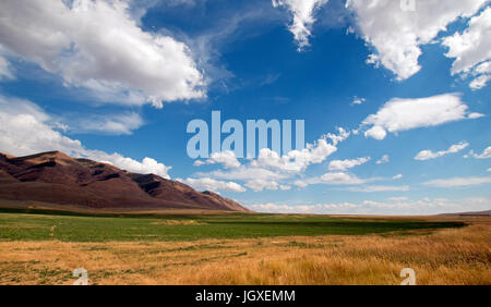 Le foin de luzerne et de champ champ de blé sous les cumulus, au Wyoming, USA Banque D'Images