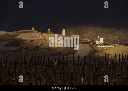La vinification en Savoie (73), AUVERGNE-RHONE-ALPES, FRANCE Banque D'Images